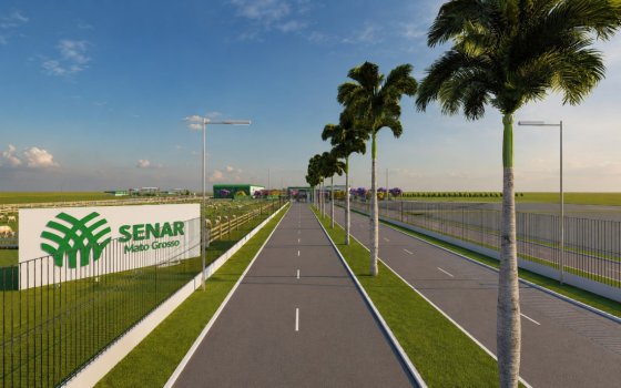 Senar - MT